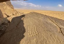 اكتشاف رسوم صخرية نادرة من عصور ما قبل التاريخ في جنوب سيناء اكتشاف رسوم صخرية نادرة من عصور ما قبل التاريخ في جنوب سيناء