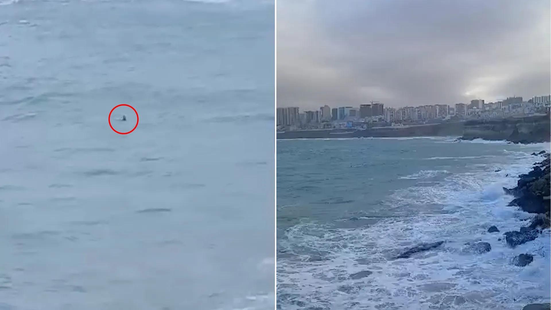 إنقاذ مراهق من الغرق أثناء التقاط صورة في الجزائر إنقاذ مراهق من الغرق أثناء التقاط صورة في الجزائر