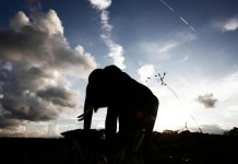 تايلند وإندونيسيا تتخذان خطوات لتهدئة حرب الفيلة تايلند وإندونيسيا تتخذان خطوات لتهدئة حرب الفيلة