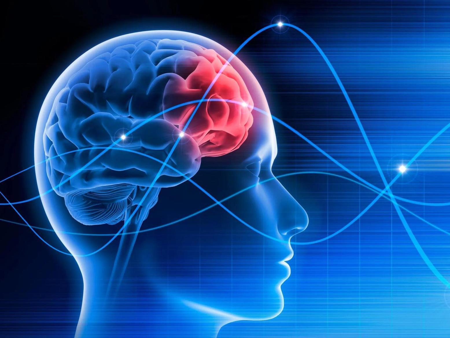 العقل قد يظل واعيا لعدة ساعات بعد الموت العقل قد يظل واعيا لعدة ساعات بعد الموت