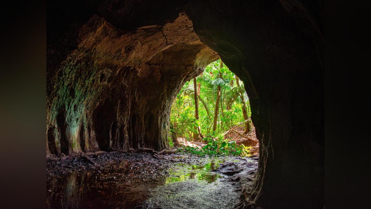 علماء يكتشفون نافذة نادرة على شكل الحياة قبل مليون سنة علماء يكتشفون نافذة نادرة على شكل الحياة قبل مليون سنة