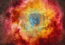 سديم الوردة.. لوحة كونية تفيض بالحياة والغازات المتوهجة سديم الوردة.. لوحة كونية تفيض بالحياة والغازات المتوهجة