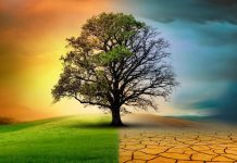 تغير المناخ يتسارع لكن الطبيعة تتباطأ تغير المناخ يتسارع لكن الطبيعة تتباطأ