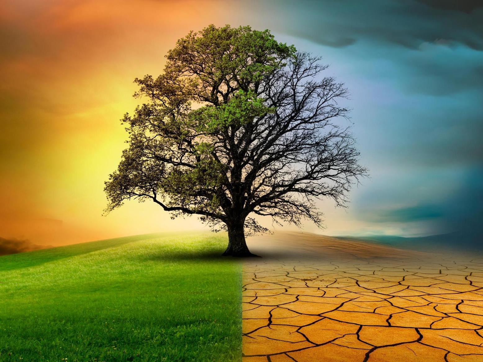 تغير المناخ يتسارع لكن الطبيعة تتباطأ تغير المناخ يتسارع لكن الطبيعة تتباطأ