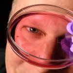 “سر رؤية البشر الحادة.. اكتشاف ثوري يعيد كتابة قصة العين "سر رؤية البشر الحادة.. اكتشاف ثوري يعيد كتابة قصة العين