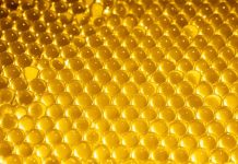 وداعا لهدر الضوء.. كرات ذهبية فائقة تحبس طاقة الشمس بكفاءة 90% وداعا لهدر الضوء.. كرات ذهبية فائقة تحبس طاقة الشمس بكفاءة 90%