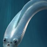 بأربع عيون.. مخلوق معكروني الشكل يذهل العلماء بأربع عيون.. مخلوق معكروني الشكل يذهل العلماء