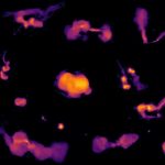 ابتكار أدق خريطة راديوية للسماء واكتشافات جديدة ابتكار أدق خريطة راديوية للسماء واكتشافات جديدة