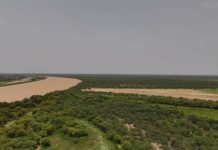 اترارزة: إعداد خطة لتعزيز حماية غابة “كاني” وضمان استدامتها اترارزة: إعداد خطة لتعزيز حماية غابة "كاني" وضمان استدامتها