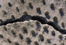 دراسة تكشف خفايا ما حصل في زلزال تركيا وسوريا عام 2023 دراسة تكشف خفايا ما حصل في زلزال تركيا وسوريا عام 2023