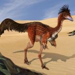 كيف يعرف العلماء شكل الديناصورات القديمة من العظام فقط؟ كيف يعرف العلماء شكل الديناصورات القديمة من العظام فقط؟