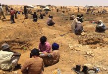 الشكات: وفاة منقب إثر شجار داخل مجهر للتنقيب عن الذهب الشكات: وفاة منقب إثر شجار داخل مجهر للتنقيب عن الذهب