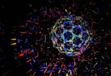 بعد 20 عاما.. الكشف عن “الجانب النووي” من لغز الذهب بعد 20 عاما.. الكشف عن "الجانب النووي" من لغز الذهب