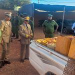 كيفه: الدرك يصادر 520 لتراً من البنزين كانت معدة للتهريب كيفه: الدرك يصادر 520 لتراً من البنزين كانت معدة للتهريب