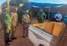 كيفه: الدرك يصادر 520 لتراً من البنزين كانت معدة للتهريب كيفه: الدرك يصادر 520 لتراً من البنزين كانت معدة للتهريب