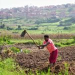 إفريقيا تعاني تداعيات اقتصادية من حرب الشرق الأوسط إفريقيا تعاني تداعيات اقتصادية من حرب الشرق الأوسط