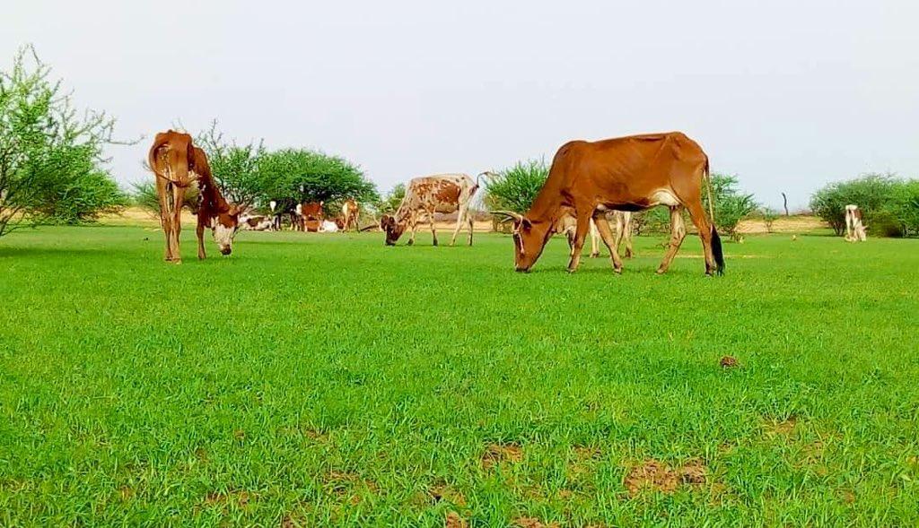 الأرصاد الجوية تتوقع أمطارا خفيفة على جنوب شرق البلاد الأرصاد الجوية تتوقع أمطارا خفيفة على جنوب شرق البلاد