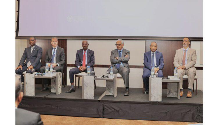 وزير الاقتصاد: الاستثمار الزراعي ركيزة لتعزيز الأمن الغذائي وزير الاقتصاد: الاستثمار الزراعي ركيزة لتعزيز الأمن الغذائي
