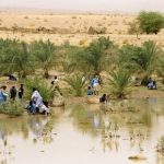 «سياسة المطر» التي تحرك موريتانيا «سياسة المطر» التي تحرك موريتانيا