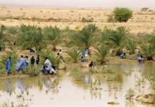 «سياسة المطر» التي تحرك موريتانيا «سياسة المطر» التي تحرك موريتانيا