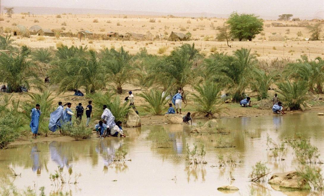 «سياسة المطر» التي تحرك موريتانيا «سياسة المطر» التي تحرك موريتانيا