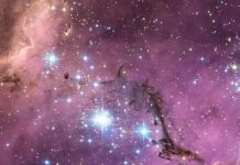 ‘Stellar Nurseries’: Colossal Baby Star Wave Surfed by Milky Way Is Largest Ever Known in Galaxy ‘Stellar Nurseries’: Colossal Baby Star Wave Surfed by Milky Way Is Largest Ever Known in Galaxy