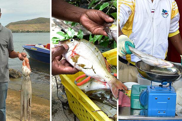 Fisheries sector: Budget 2022-23 caters for key measures to boost local production