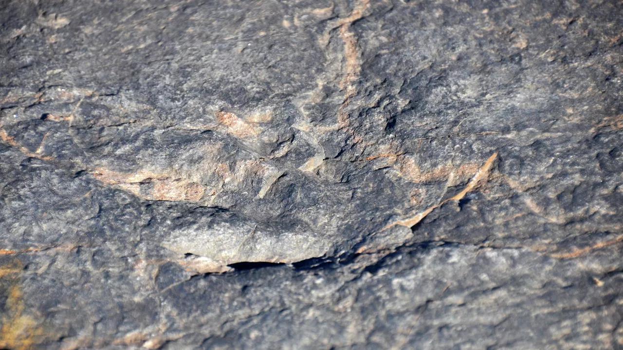 Dinosaurs Likely Inhabited Earth’s Cold Polar Regions Even During Triassic Period, Research Says Dinosaurs Likely Inhabited Earth’s Cold Polar Regions Even During Triassic Period, Research Says