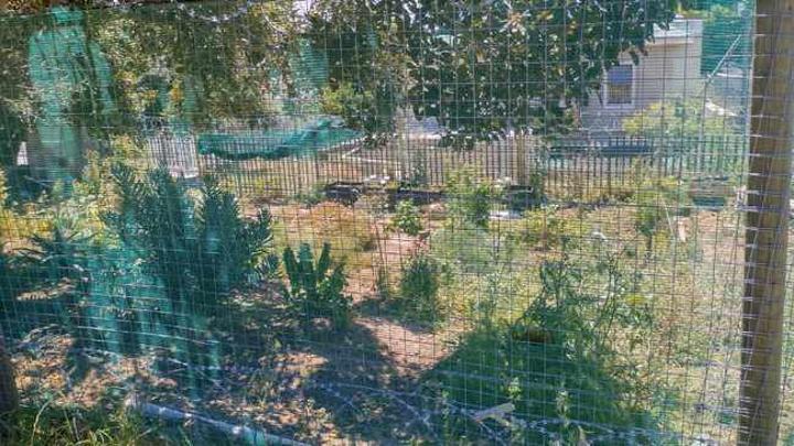 Bo-Kaap garden for youth, a site of numerous break-ins and theft Bo-Kaap garden for youth, a site of numerous break-ins and theft