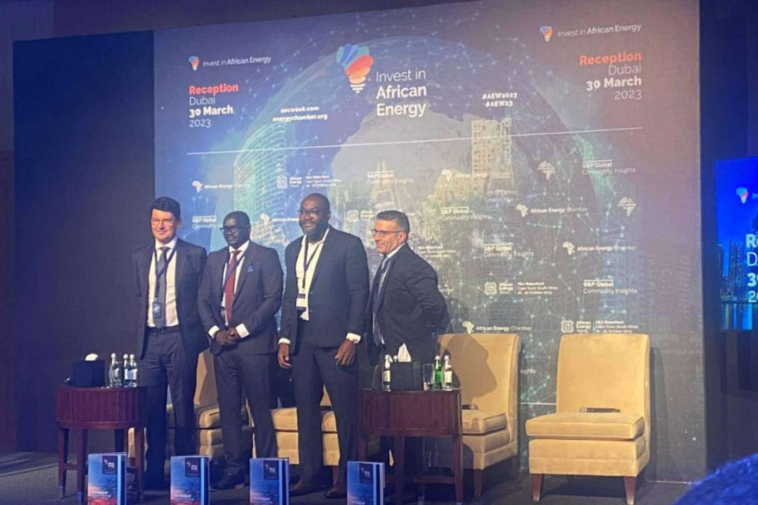 Africa's Upstream Opportunities Unpacked at Invest in African Energy  Reception in Dubai - Mauritius