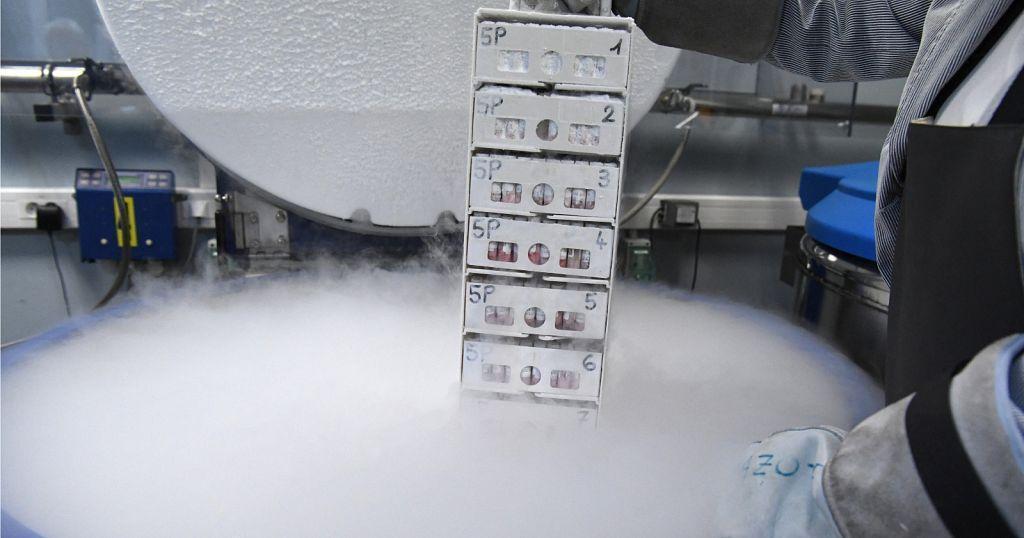 Project to create the largest database on the African genome Project to create the largest database on the African genome