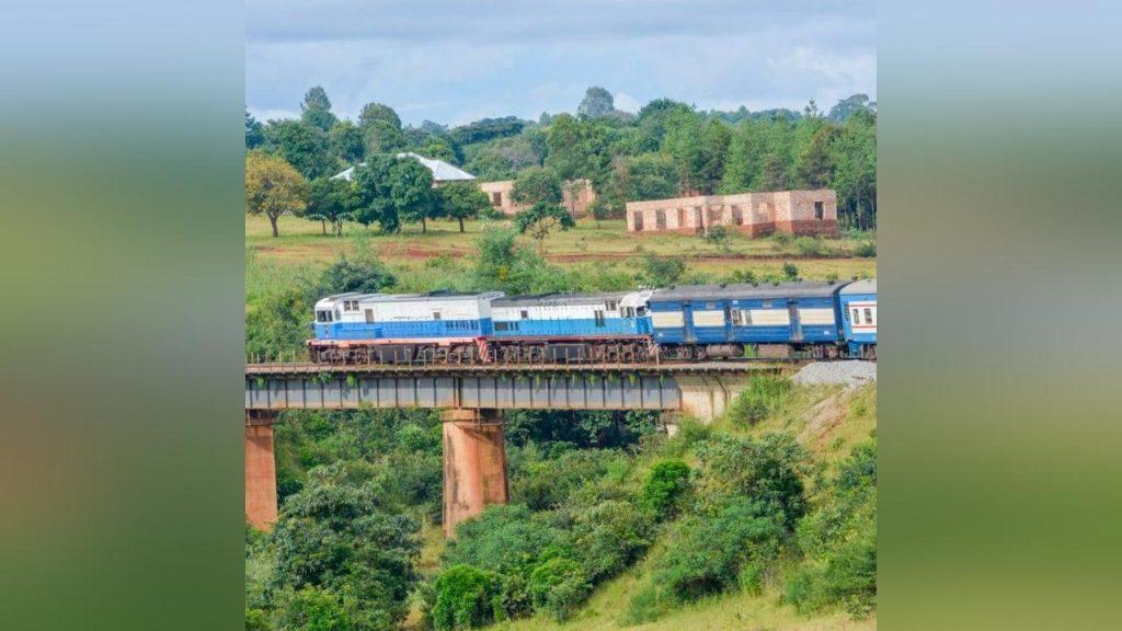 China on track to control African Tazara railway despite geopolitical needling over control of mineral trade routes China on track to control African Tazara railway despite geopolitical needling over control of mineral trade routes