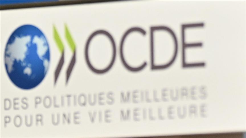 OECD hikes global GDP growth for 2024-25 - Mauritius