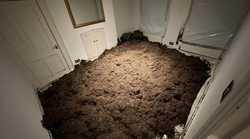 'Cannabis crooks dumped tonnes of soil in my bedroom' 'Cannabis crooks dumped tonnes of soil in my bedroom'