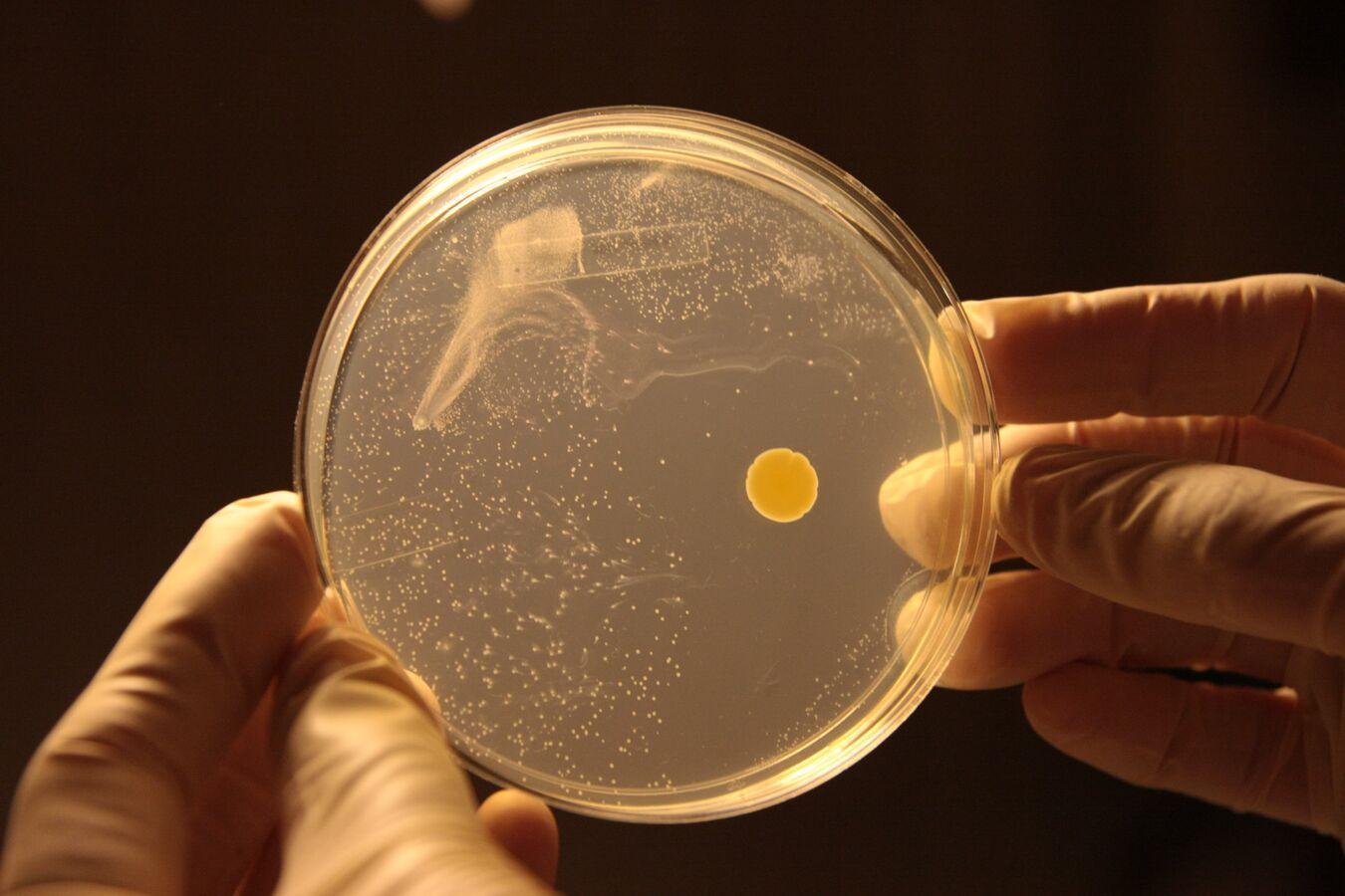 Australian Scientists to Generate Electricity Out of Thin Air Australian Scientists to Generate Electricity Out of Thin Air