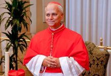 Robert Francis Prevost, who has taken the name Leo XIV, elected new pope Robert Francis Prevost, who has taken the name Leo XIV, elected new pope