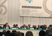 AUC Chairperson Urges Innovation and Private Capital AUC Chairperson Urges Innovation and Private Capital