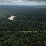 Amazon Fires Surpass Deforestation in Carbon Emissions Amazon Fires Surpass Deforestation in Carbon Emissions
