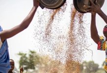 Indigenous Knowledge Systems in G20 Climate Change Toolkit Indigenous Knowledge Systems in G20 Climate Change Toolkit