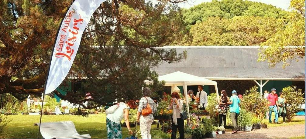 A Green Celebration Returns to Curepipe's Plant Fair A Green Celebration Returns to Curepipe's Plant Fair