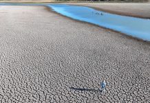 UN Report: Countries Lag on Updated Climate Plans UN Report: Countries Lag on Updated Climate Plans