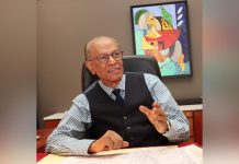 Virtual Participation Cuts Mauritius’s Contribution in Half Virtual Participation Cuts Mauritius's Contribution in Half