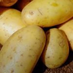 Crop Diversification Strengthen Mauritius’ Food Security Crop Diversification Strengthen Mauritius’ Food Security