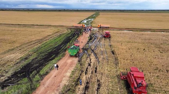 Making Mauritius Food Secure Through Trade and Sustainability Making Mauritius Food Secure Through Trade and Sustainability