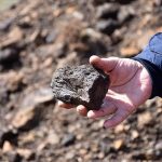 Scientists extract rare earth minerals from living plants Scientists extract rare earth minerals from living plants