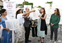 Sterile Male Mosquitoes Control Aedes Albopictus Sterile Male Mosquitoes Control Aedes Albopictus