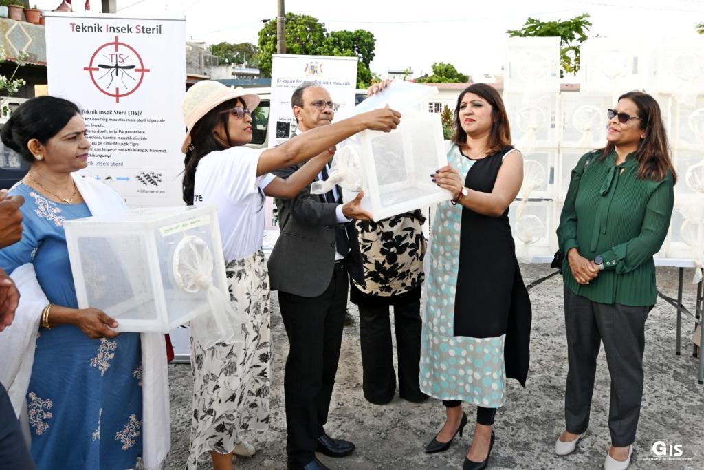 Sterile Male Mosquitoes Control Aedes Albopictus Sterile Male Mosquitoes Control Aedes Albopictus