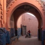 Africa tourism up by 8% as global tourism hits record high Africa tourism up by 8% as global tourism hits record high