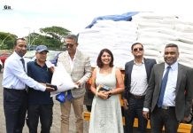 Boost for Tea Sector with Free Fertilizers for Planters Boost for Tea Sector with Free Fertilizers for Planters