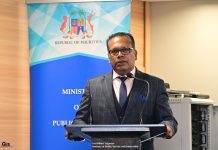 Promoting Psychosocial Well-Being in Public Service 2026 Promoting Psychosocial Well-Being in Public Service 2026